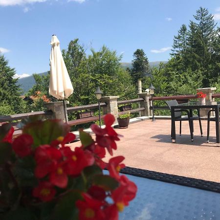 Vila Terase Hotel Sinaia Eksteriør billede