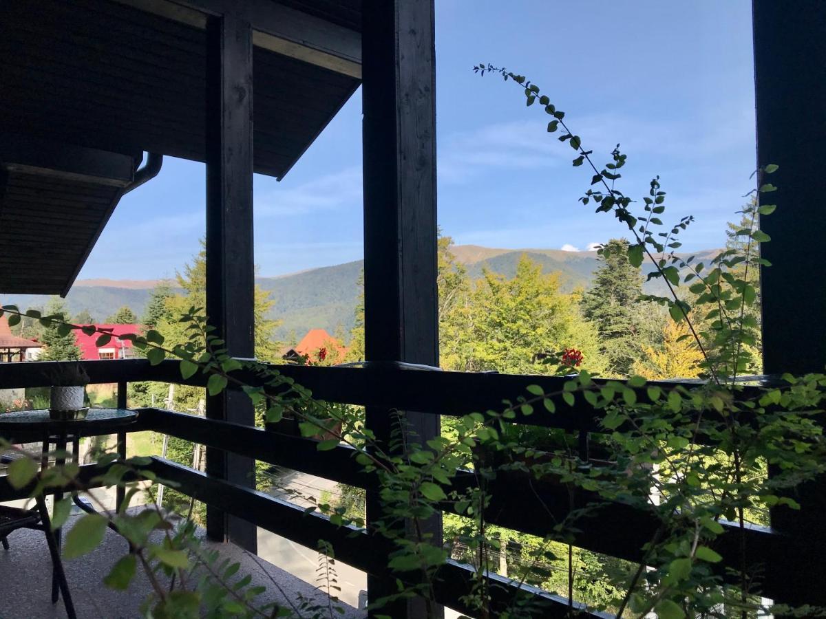 Vila Terase Hotel Sinaia Eksteriør billede