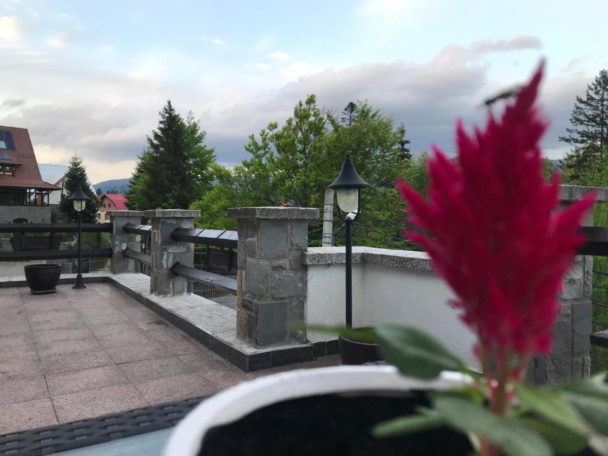 Vila Terase Hotel Sinaia Eksteriør billede