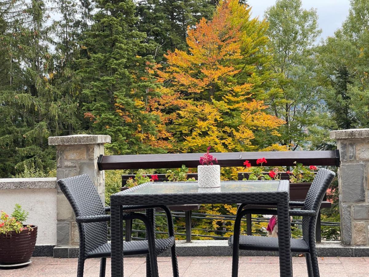Vila Terase Hotel Sinaia Eksteriør billede
