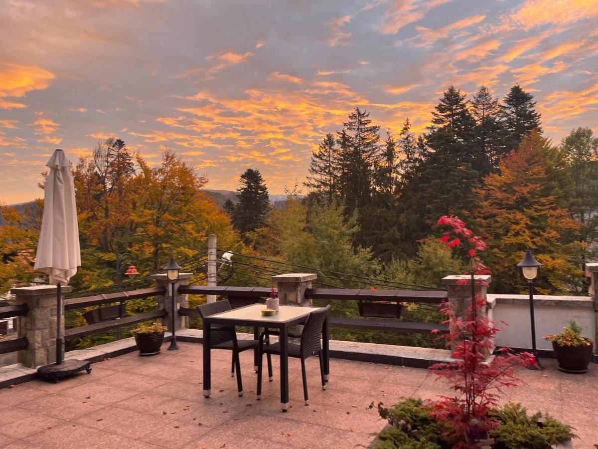 Vila Terase Hotel Sinaia Eksteriør billede