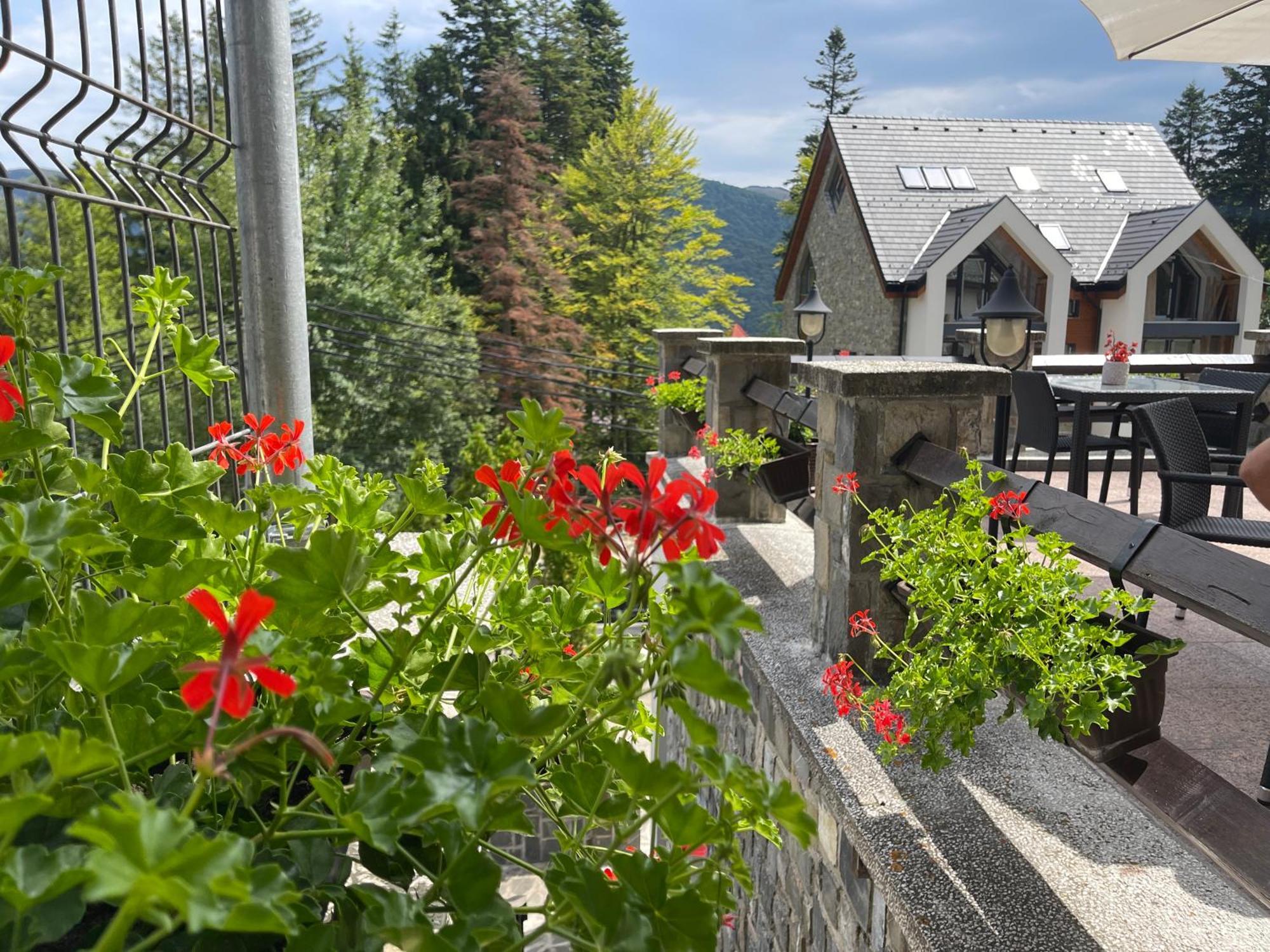 Vila Terase Hotel Sinaia Eksteriør billede