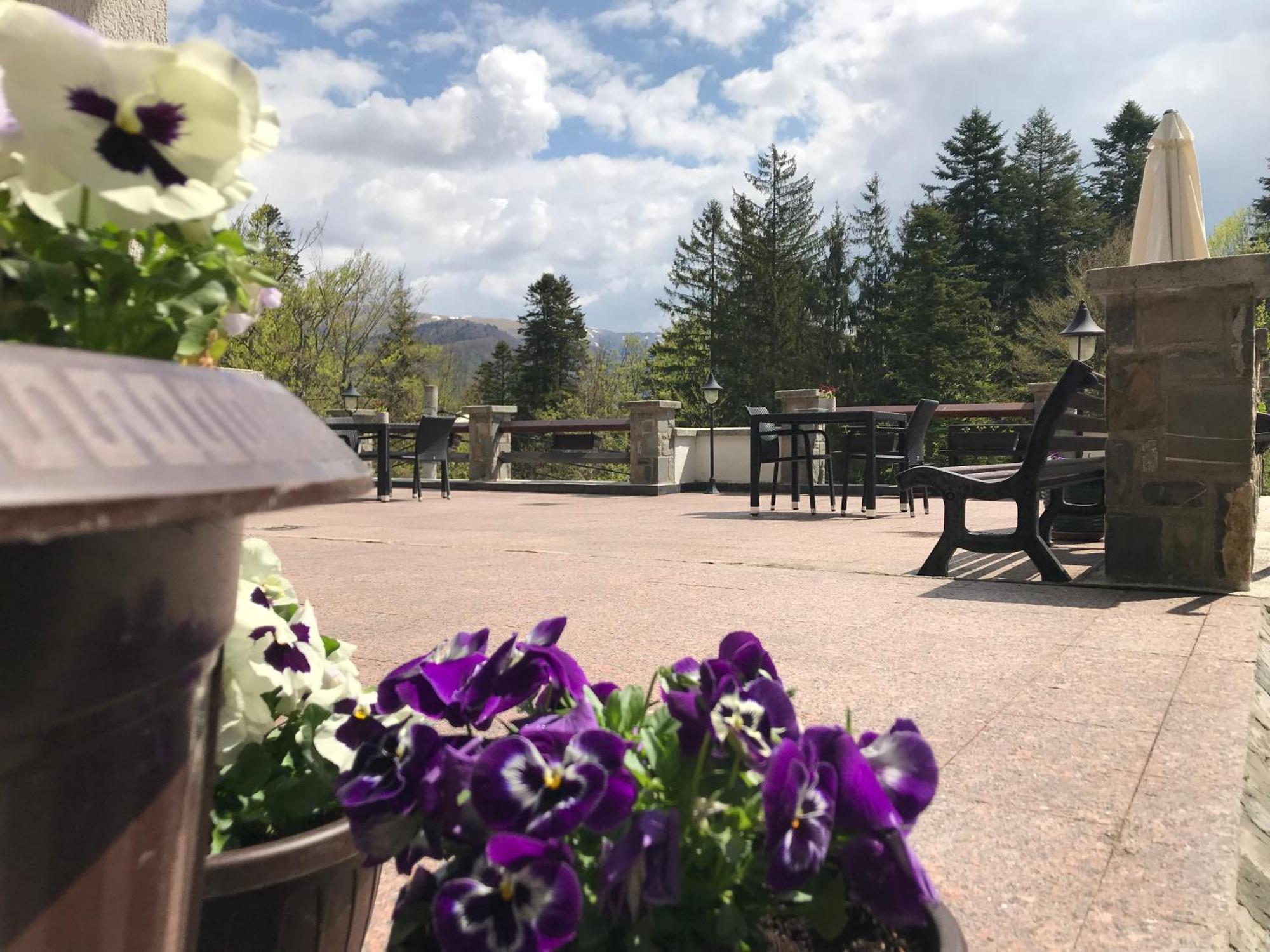 Vila Terase Hotel Sinaia Eksteriør billede