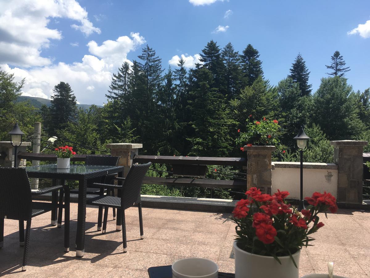 Vila Terase Hotel Sinaia Eksteriør billede