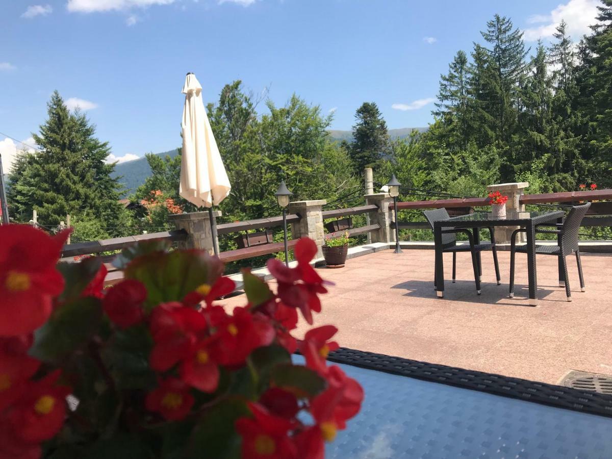 Vila Terase Hotel Sinaia Eksteriør billede