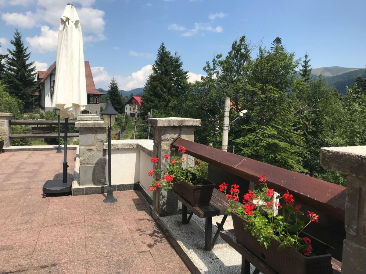 Vila Terase Hotel Sinaia Eksteriør billede